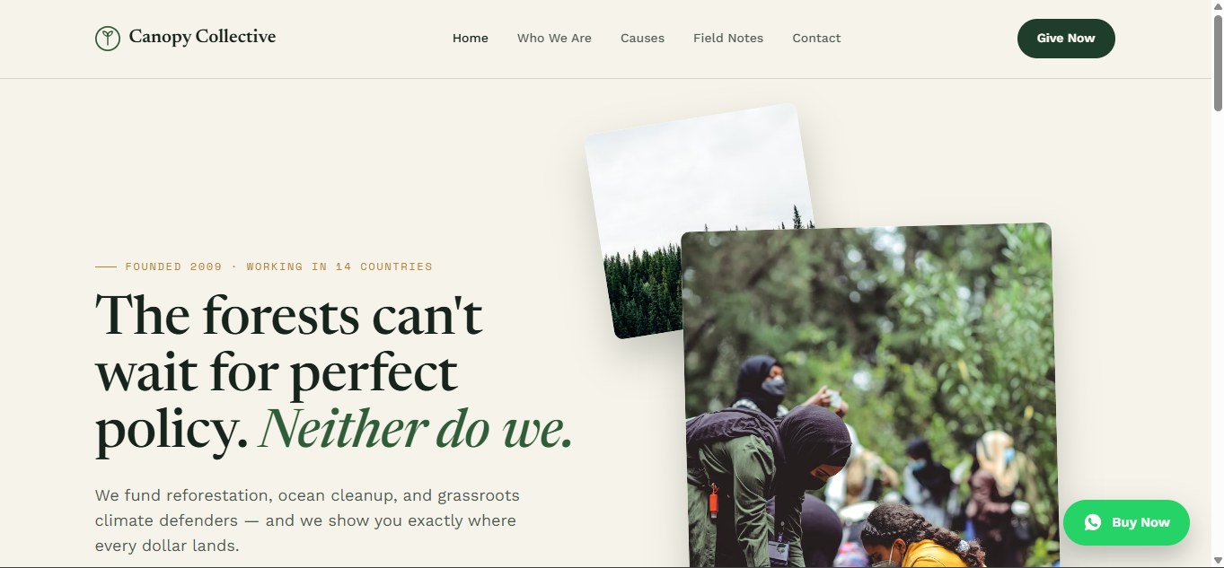 Canopy Collective template preview